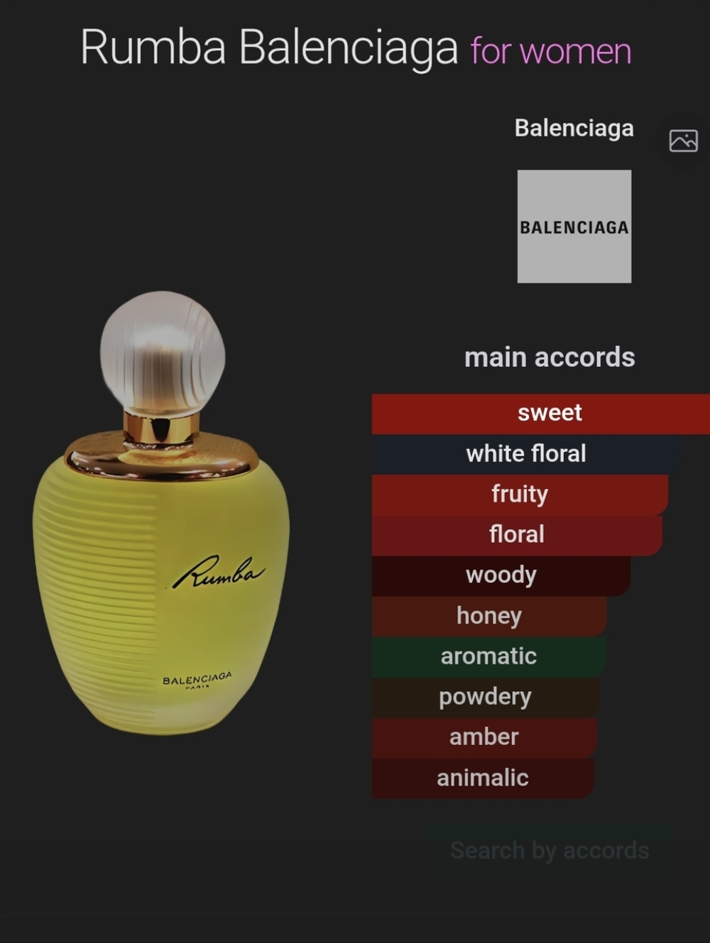 ✨️Balenciaga Rumba MINI✨️ - Picture 3 of 3
